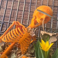 Hollow Prints - Single - deathmoth