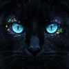 BLACK CATS