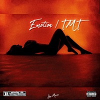 Emotion / T.M.T - Single - Lofires