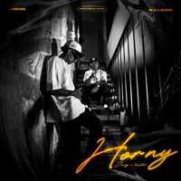 Horny (feat. J Kalder) - Single - Jemg