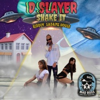 Shake It - Single - D Slayer