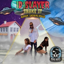 Shake It D Slayer