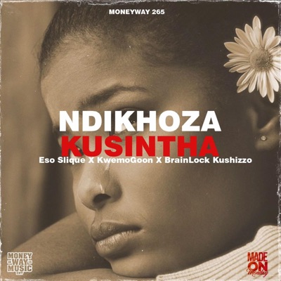 Ndikhoza Kusintha (feat. KWEMO 265 & Kushizzo) - Single