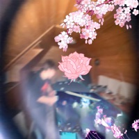 speed - Single - dabbackwood