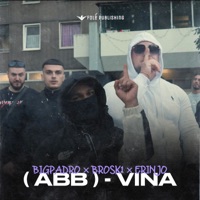 Vina - Single - PADRO, BROSK1 & Erinjo
