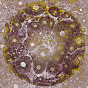 Terra - EP - Drum & Lace