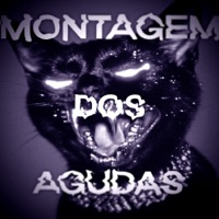 MONTAGEM DOS AGUDAS (feat. Mc Dieguinho) - Single - DJ ALX K23