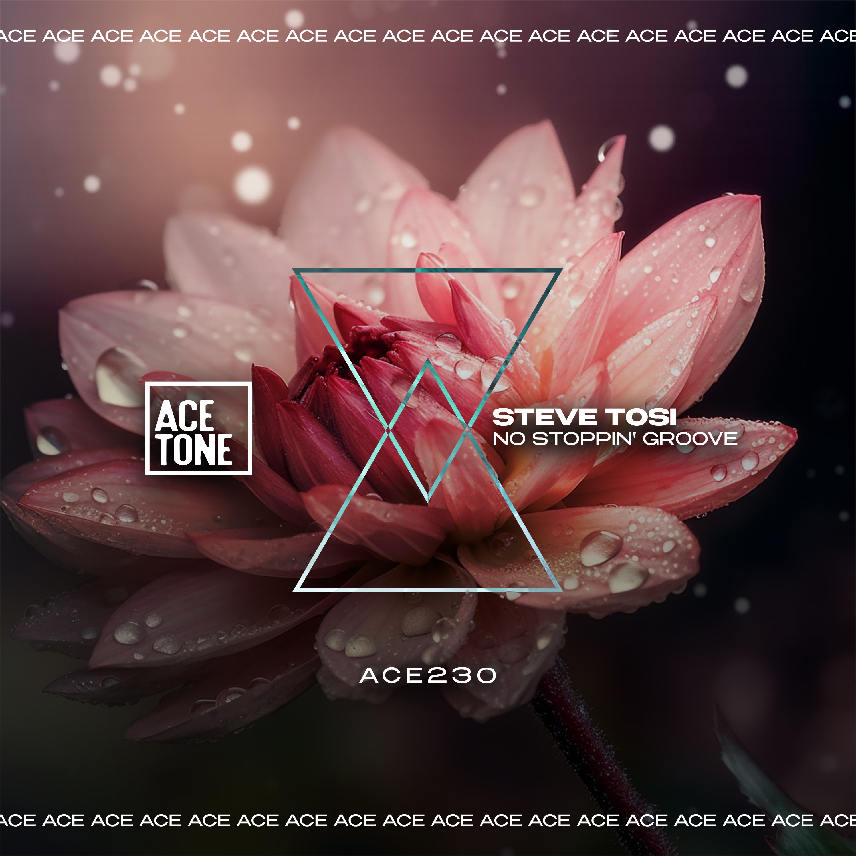 No Stoppin' Groove - Single