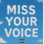 Miss Your Voice - Single