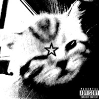 Catwalk - Single - isitspacy