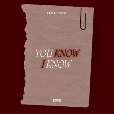 You Know I Know (feat. DRƎ) - Single