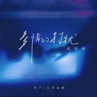 多情的打扰 (温柔版) - Single - 萱子 & 玉米岛格