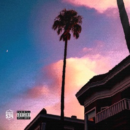 Insônia Reduto 534 & D r o p e