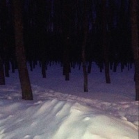 Wasteland (feat. Billz) - Single - starz*