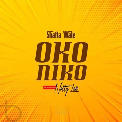 Oko Niko (feat. Natty Lee) - Single