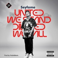 United We Stand Divided We Fall - Single - Seyfame