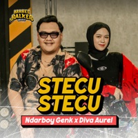 Stecu Stecu - Single - Ndarboy Genk & Diva Aurel