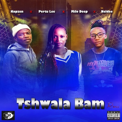 Tshwala Bam _Hip Hop Remake (feat. Pertu Lee, Kopzen RSA, Tito M, Yuppe & Neldee) - Single