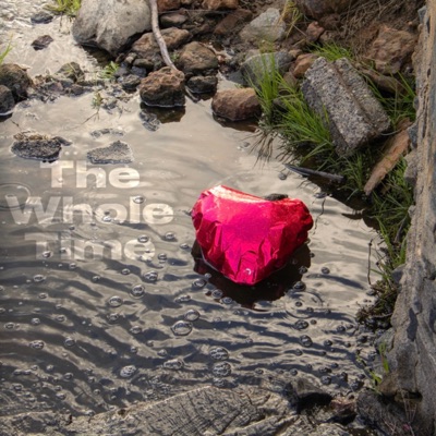The Whole Time - Single