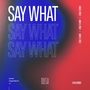 Say What (Extended Mix)