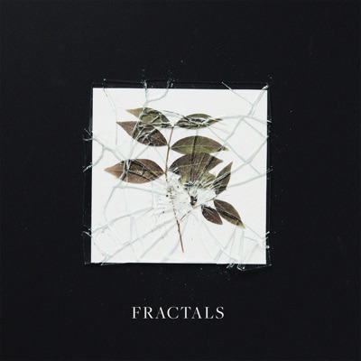 Fractals