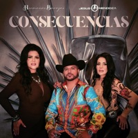 Consecuencias (feat. Jesús Mendoza) - Single - Hermanas Barajas