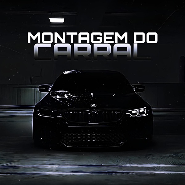 MONTAGEM DO CARRAL - Single