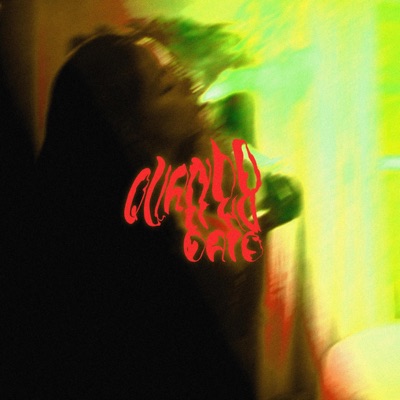 Quanto Ti Ho Dato - Single