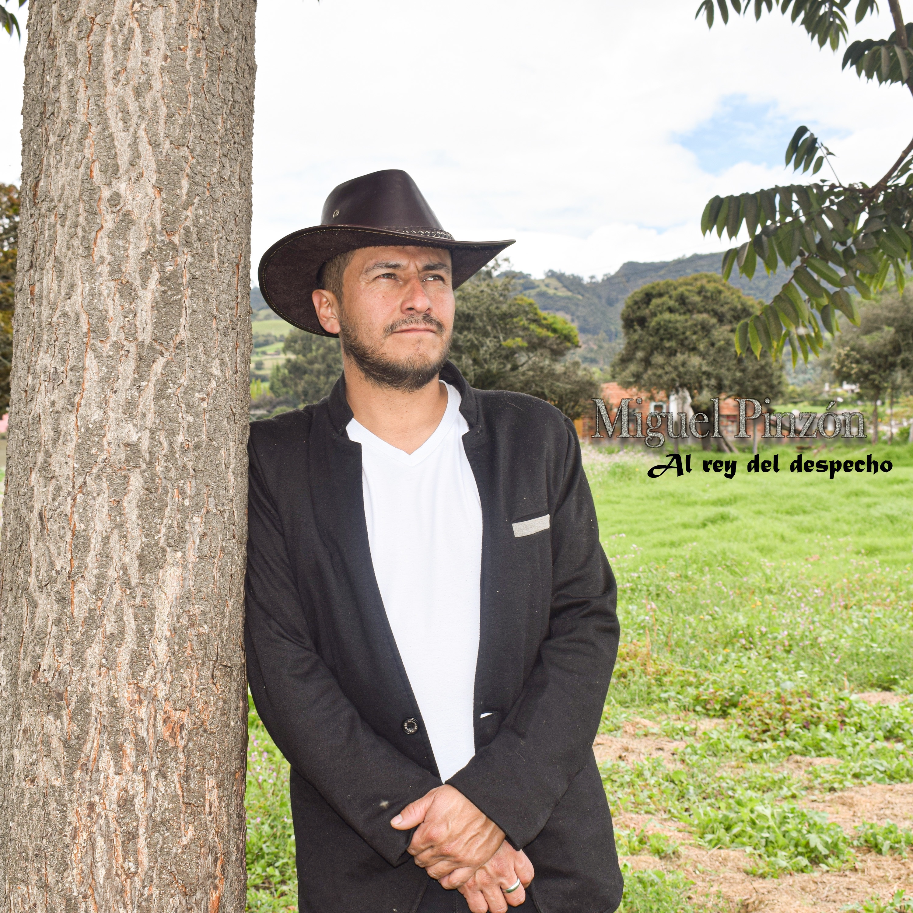 Al Rey Del Despecho - Single