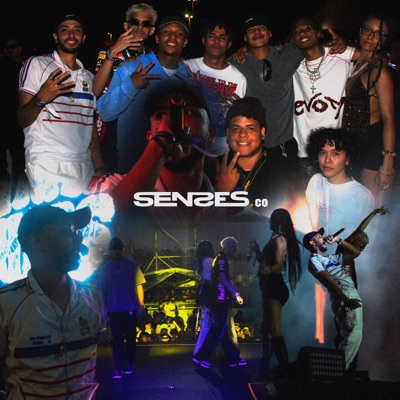 Visão de Mercado - Single