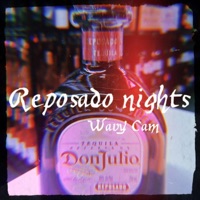 Reposado Nights - Single - Wavy Cam