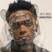 Tiger - NFX Milli