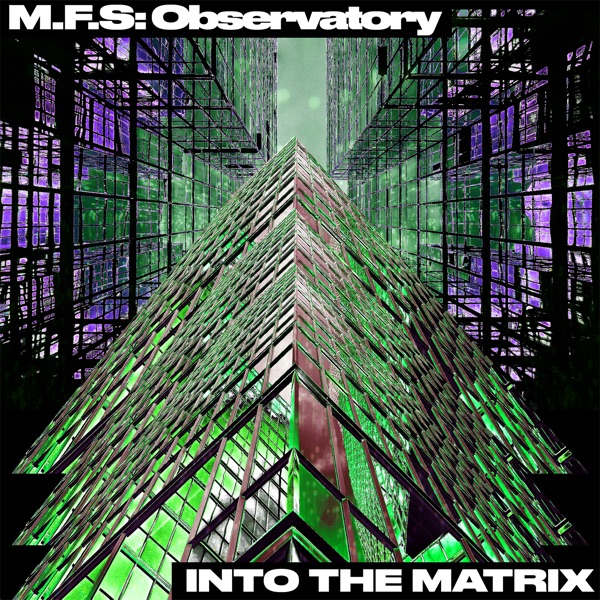Into the Matrix