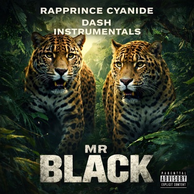 Mr Black - Single