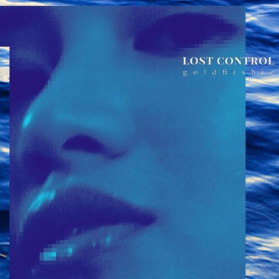 Lost Control - Single