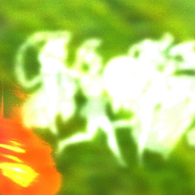 suddenlyifeelfine - Single