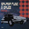 Savana Funk & Gaudi - Raha - EP artwork