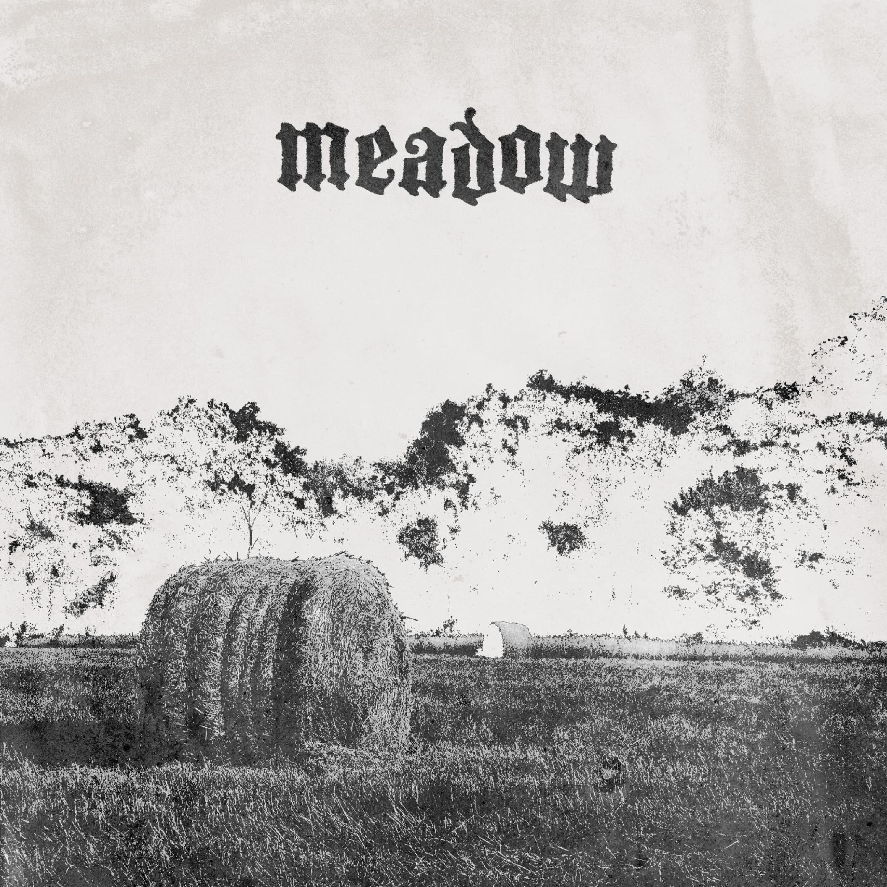 Meadow - Single