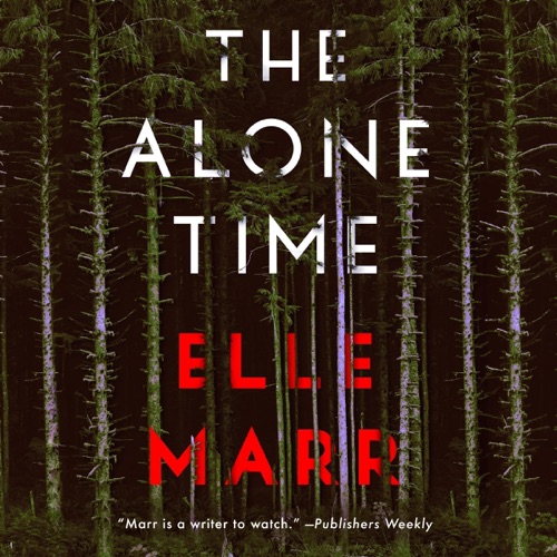 The Alone Time cover