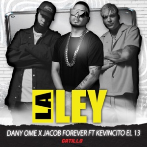 La Ley (feat. Kevincito El 13)
