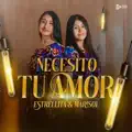 Necesito Tu Amor