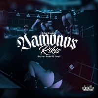 Vámonos Rikis (feat. Desorden Kdc & Danny - P) - Single - Nicky Saan