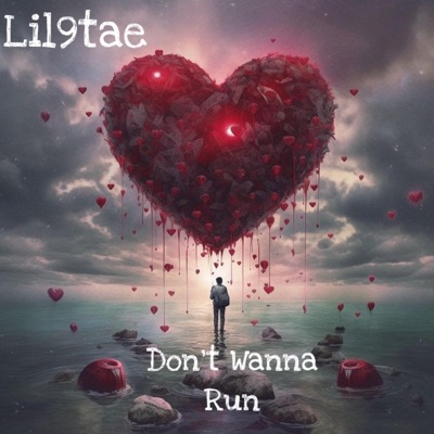 Don't Wanna Run - Single