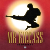 MR. KiCCaSS - Single - Heembeezy