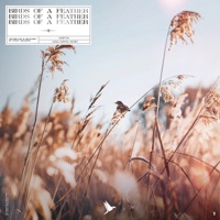 Birds Of A Feather - Single - HORT3N & Anna-Sophia Henry