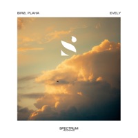 evely - Single - birø & Plaha