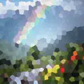 Color