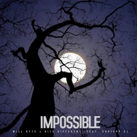 Impossible (feat. ChrispyD) Will Ryte & Hits Different
