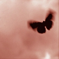 Clouded - Single - Grm