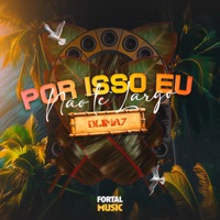 Por Isso Eu Não Te Largo (feat. MC G15) - Single - DLIMA7